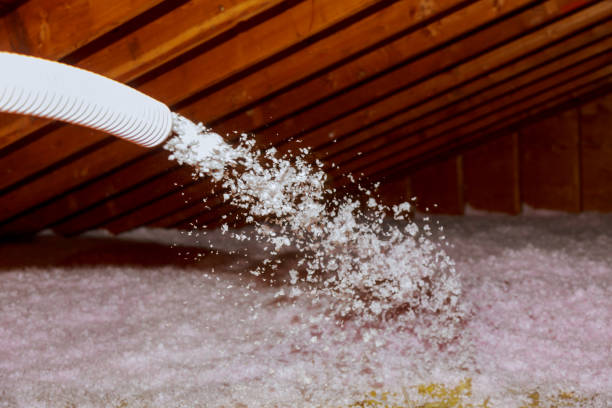 Reliable Broadview Park, FL Insulation Contractor Solutions