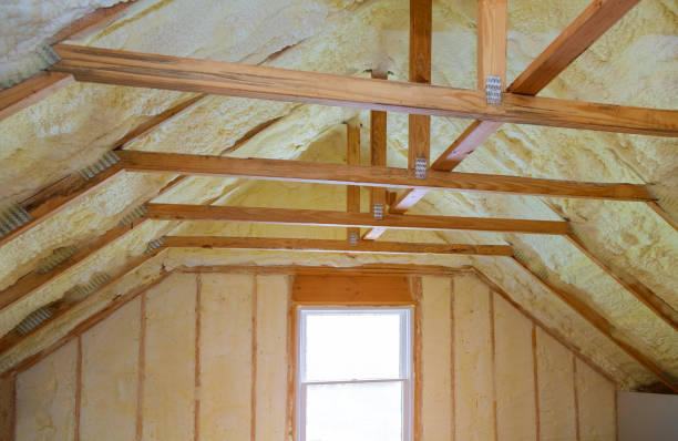 Best Spray Foam Insulation in Broadview Park, FL