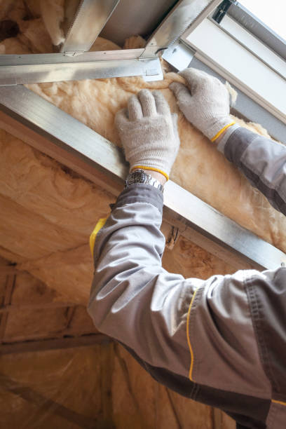 Best Energy Efficiency Insulation in Broadview Park, FL