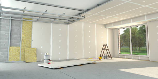 Best Cellulose Insulation in Broadview Park, FL
