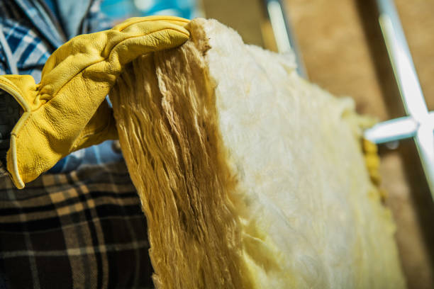 Types of Insulation We Offer in Broadview Park, FL