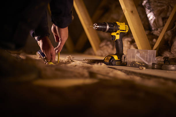 Best Insulation Maintenance and Repair in Broadview Park, FL